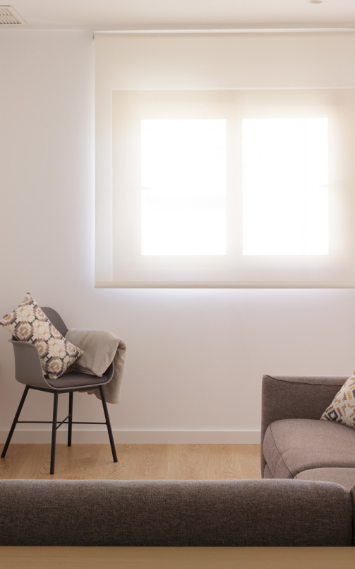 Neutralidad y armonía con vistas al palmeral de Elche1